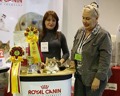 �������� �����  20-21 �������� 2014 ������������ ��� 1-151-169A1152 copy.jpg